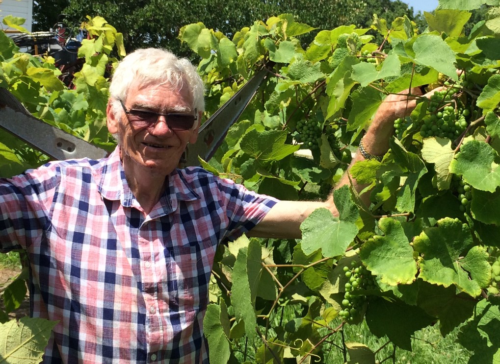 Richard Smart standing between grapevines