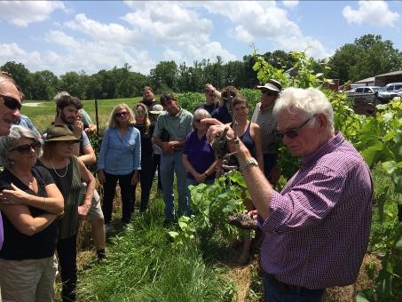 Richard Smart holds up an example of a plant with strunk disease in front of a crowd of paricipants at the Viticulture field day held at Les Beourgeois vineyard