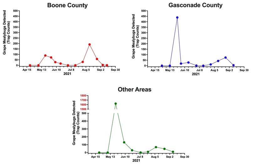 shows three graph--for Boone County (with the peak around Aug. 5), Garsconade County 
                          (with a significant peak right after May 13), and Other Areas (with a drastic peak that jumps the y-axis of trap counts all the way up to 1,600 after May 13) from April 15 to 
                            Sept. 30. Email Jacob Corcoran, at Jacob.corcoran@usda.gov, for a readout of all the findings reflected on the graph.